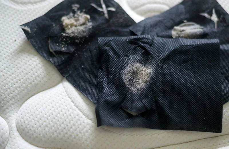 Staubsaugertest an der Matratze